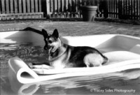 © Tracey Sides Photography