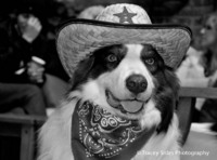 © Tracey Sides Photography