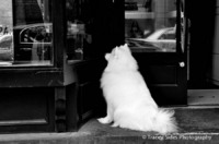 © Tracey Sides Photography