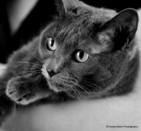 © Tracey Sides Photography