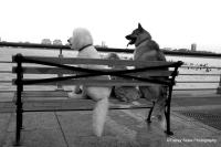 © Tracey Sides Photography